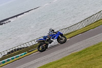 PJ-Motorsport-2019;anglesey-no-limits-trackday;anglesey-photographs;anglesey-trackday-photographs;enduro-digital-images;event-digital-images;eventdigitalimages;no-limits-trackdays;peter-wileman-photography;racing-digital-images;trac-mon;trackday-digital-images;trackday-photos;ty-croes
